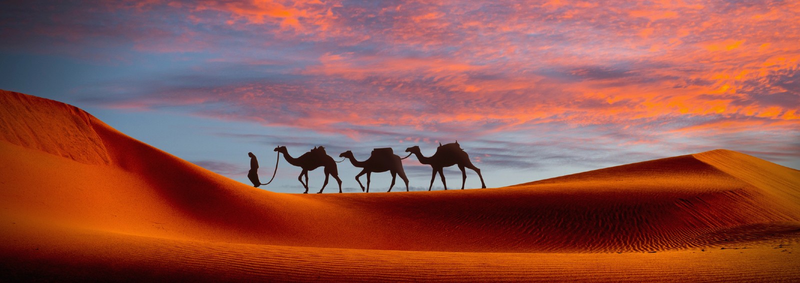 viaggio deserto hero