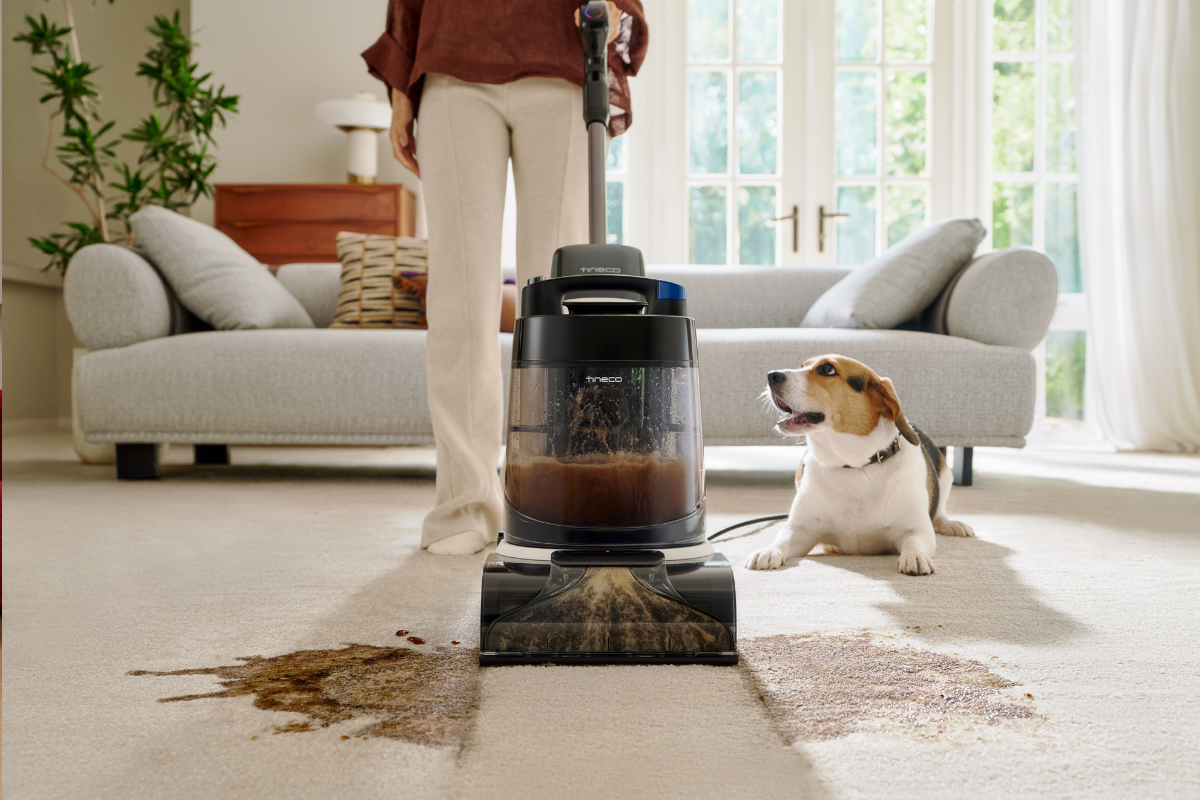 Tineco elettrodomestici Carpet One Cruiser
