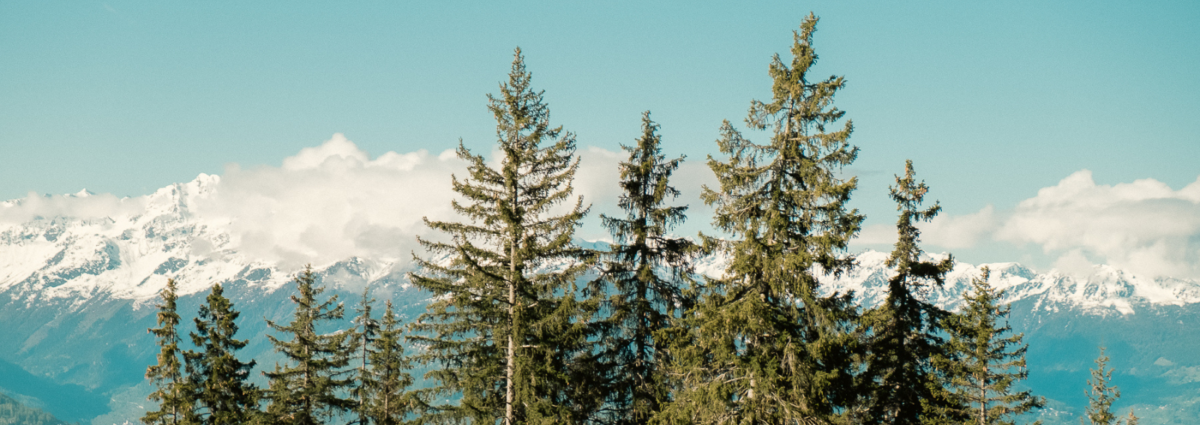 Untitled design (38)