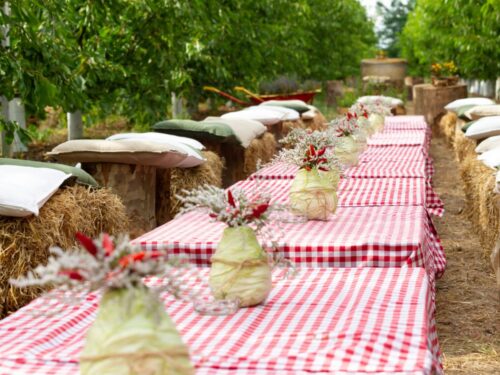 Aperitif frinteto cascina pizzo