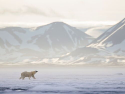 Четыре острова