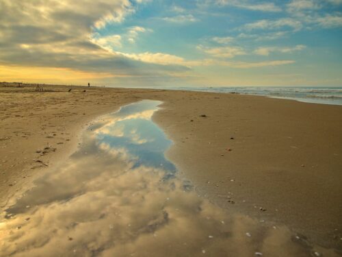 Марина Ди Векчиано