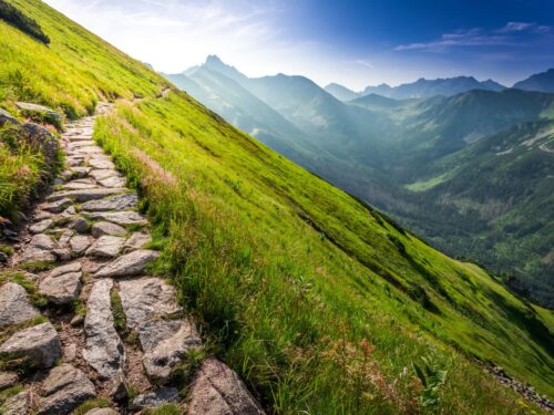 Монти Карпази Южная Румыния Александрия