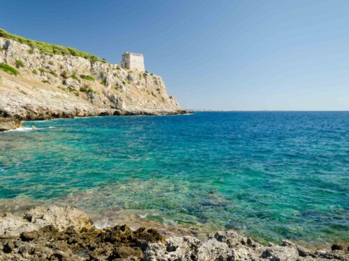 Порту Сельваджо