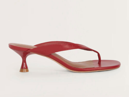 Реформация Фрадит