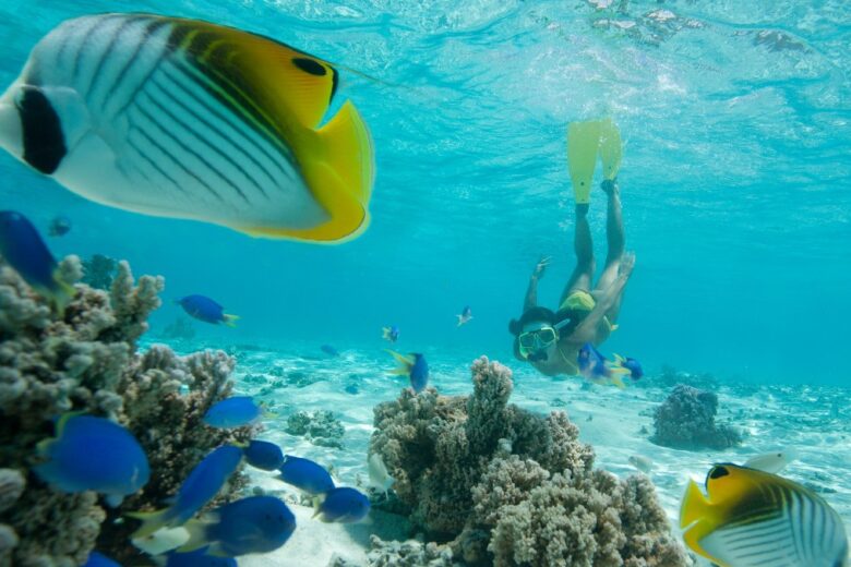 Alla scoperta delle meraviglie del mare: 5 destinazioni top per fare snorkeling in Europa