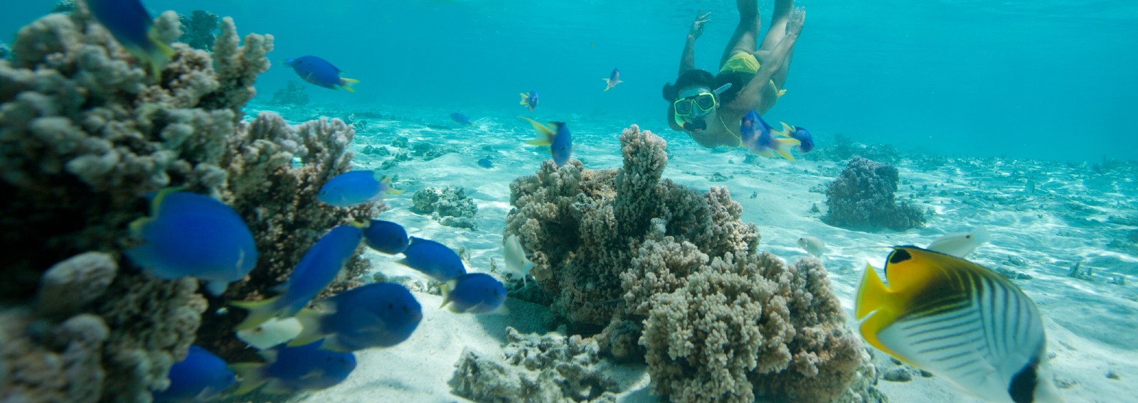 snorkelling hero