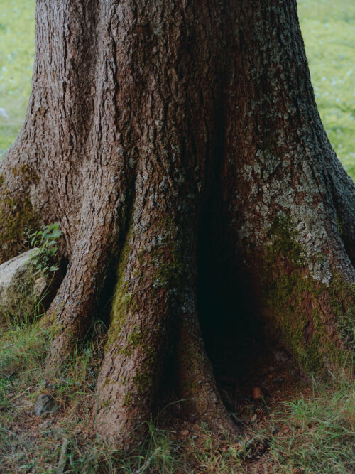 Обратите внимание на детали 1 Challe_17