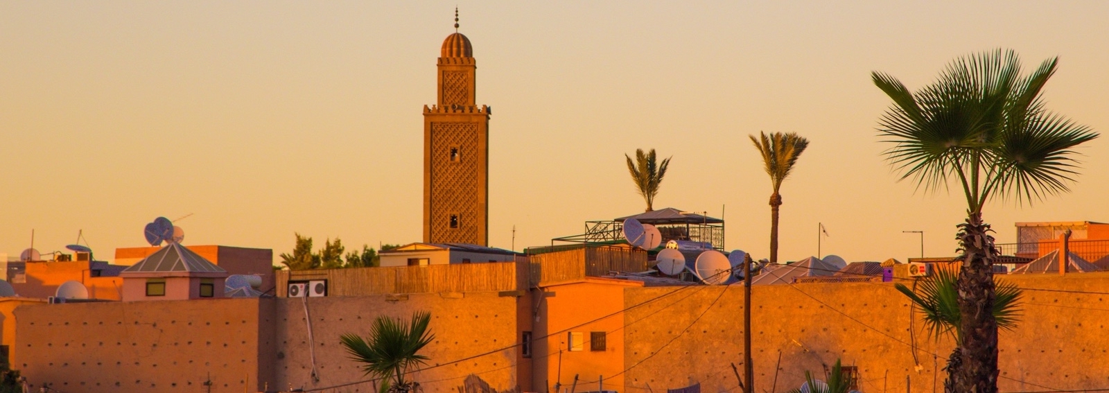 1 GettyImages-875186938