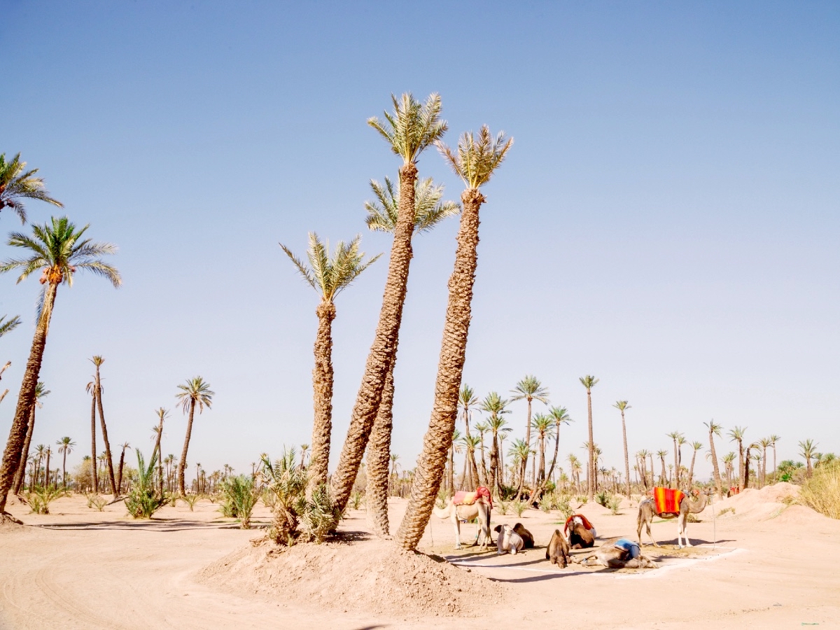 3 GettyImages-875187122