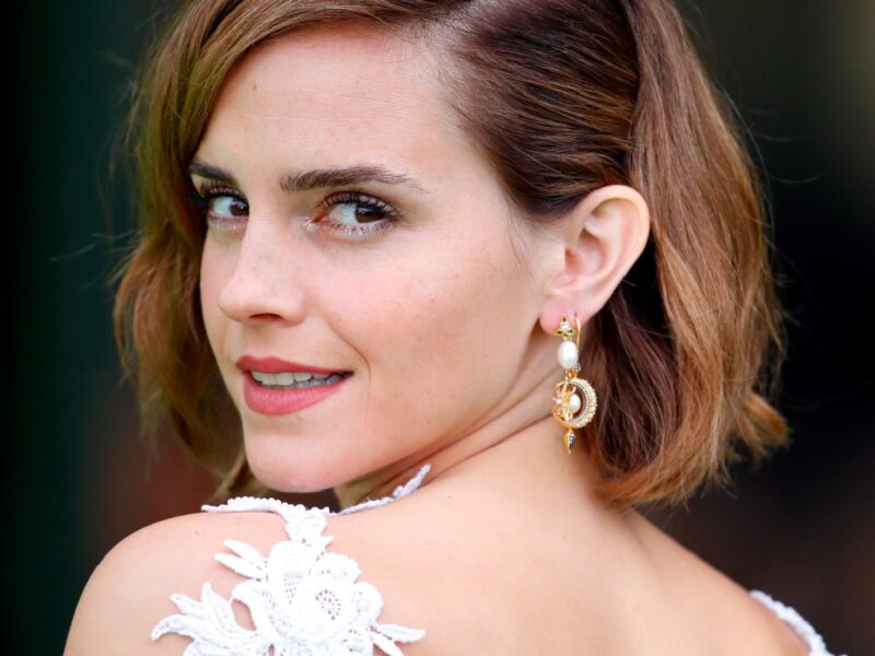 emma watson hero