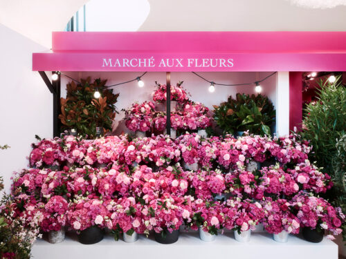 2025_09_29_Dior_Miss-Dor_empty-Space0190_V3- (1)