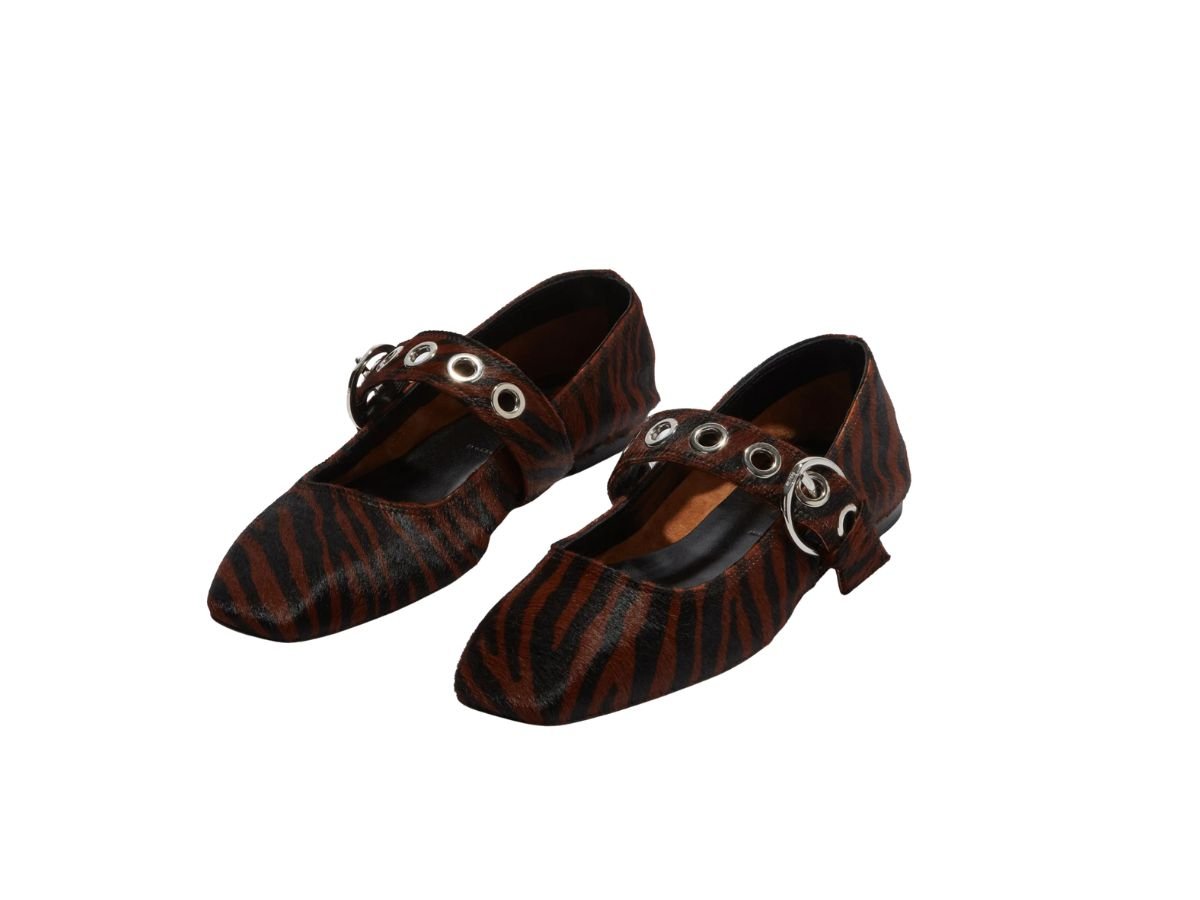 ballerine zebrate aeyde