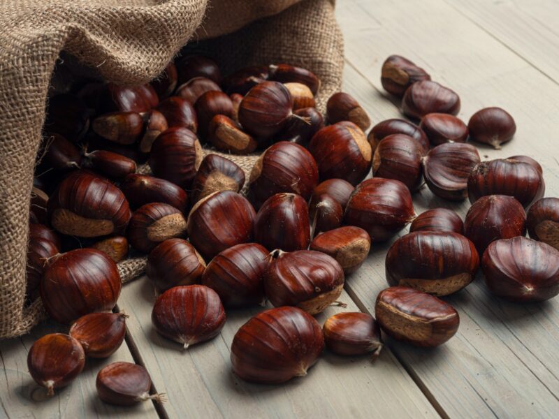 castagne