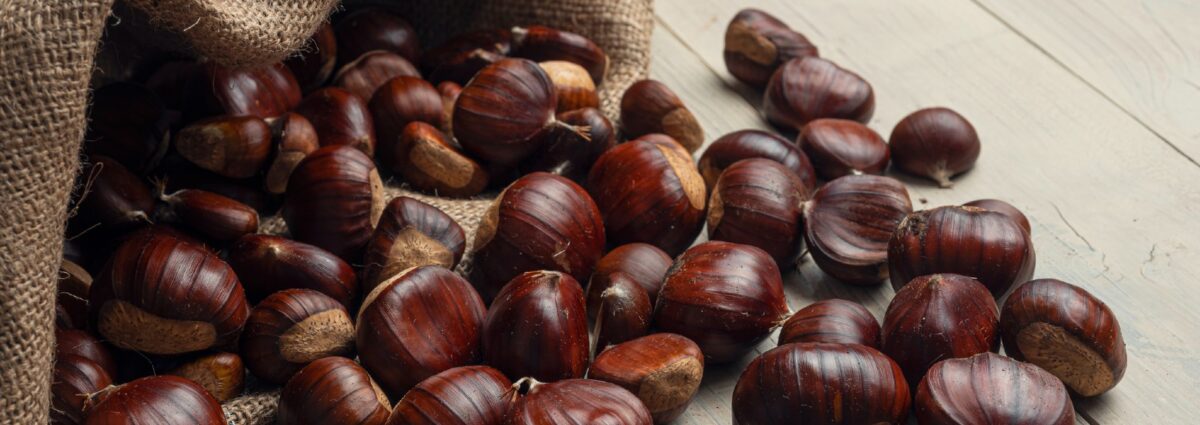 castagne hero