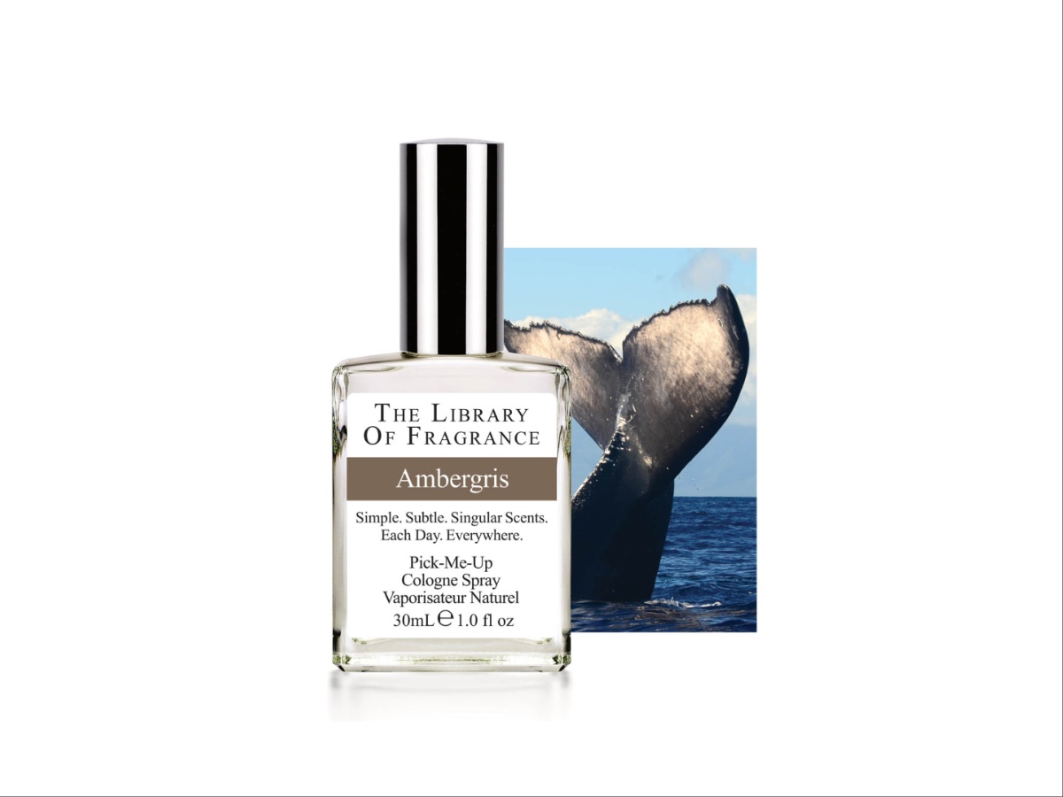 migliori profumi ambra grigia migliori minerali intensi affascinanti da scia 03