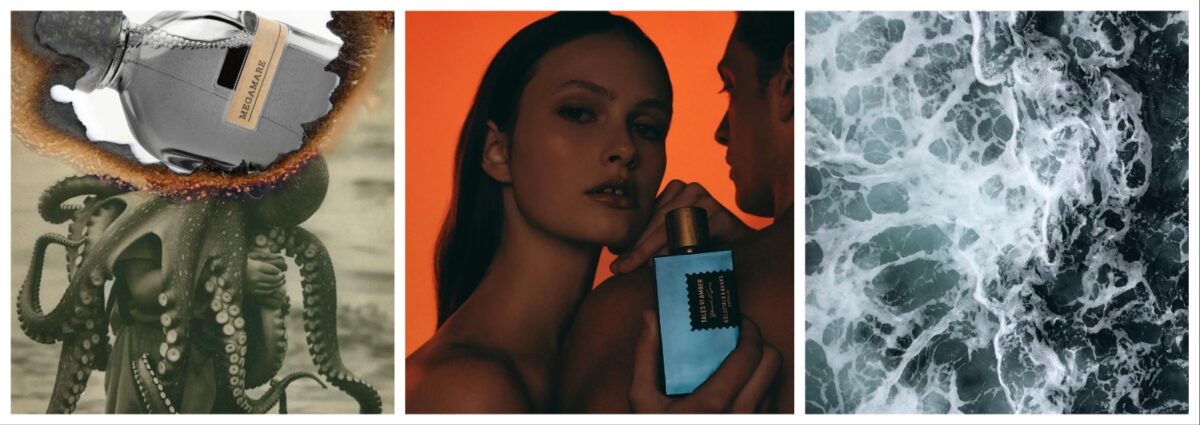 migliori profumi ambra grigia migliori minerali intensi affascinanti da scia cover desktop