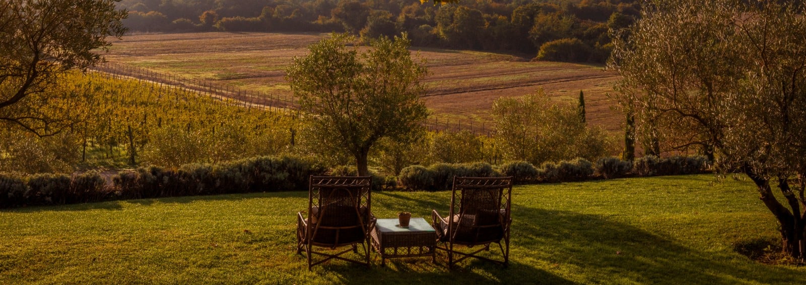 borgo santo pietro hero