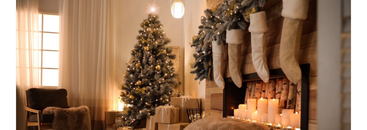 casa natale albero hero