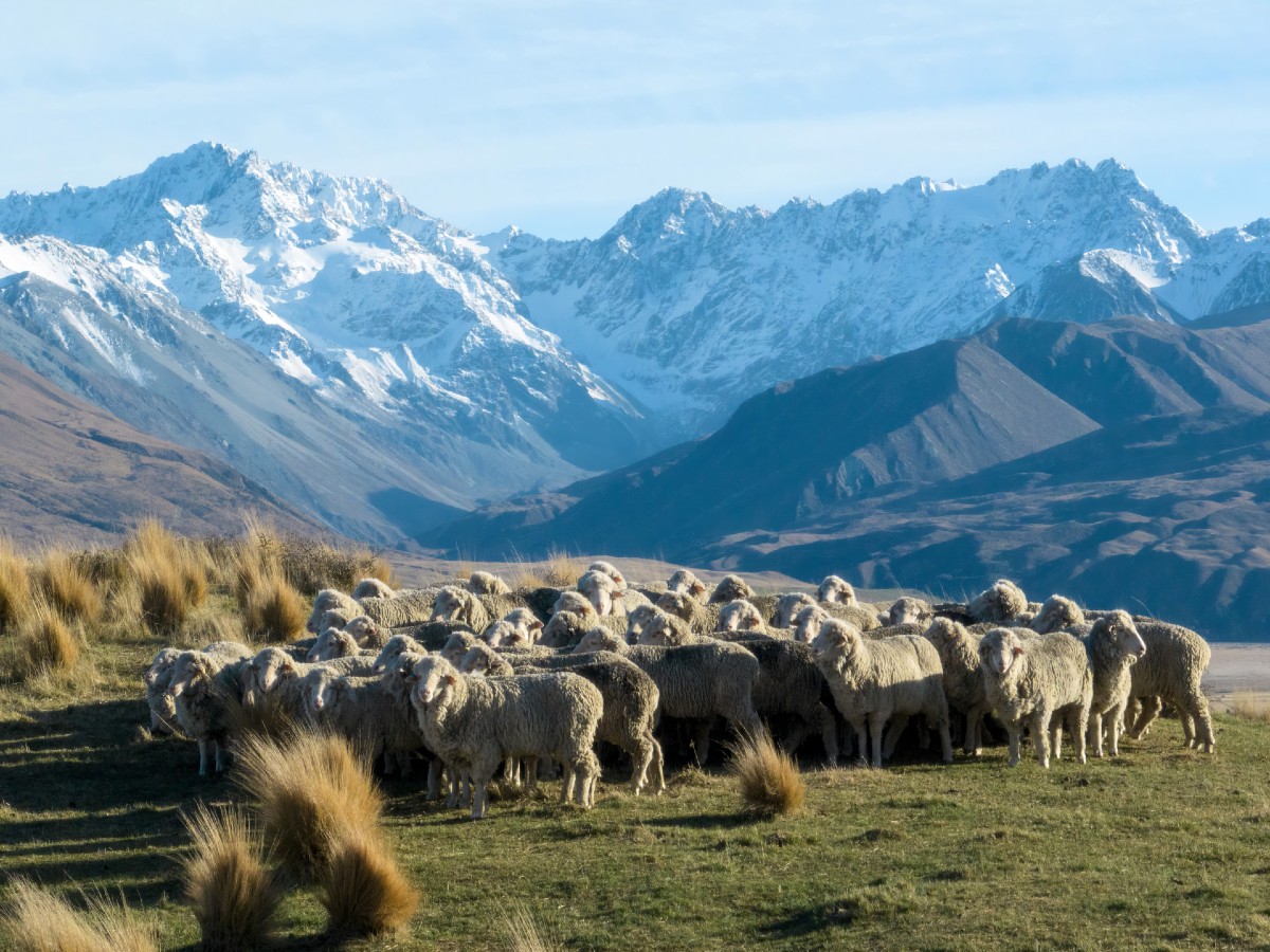 ok EVERGREEN IMAGE – LAKE HERON STATION-18