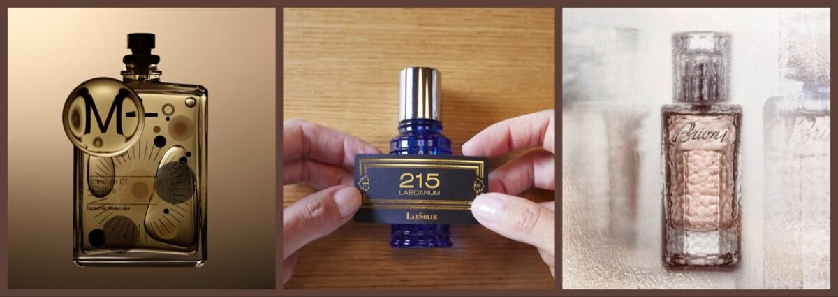 profumi al labdano resisoni sensuali sexy intensi persistenti cover desktop