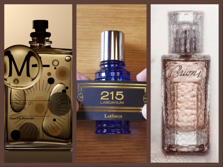 profumi al labdano resisoni sensuali sexy intensi persistenti cover mobile