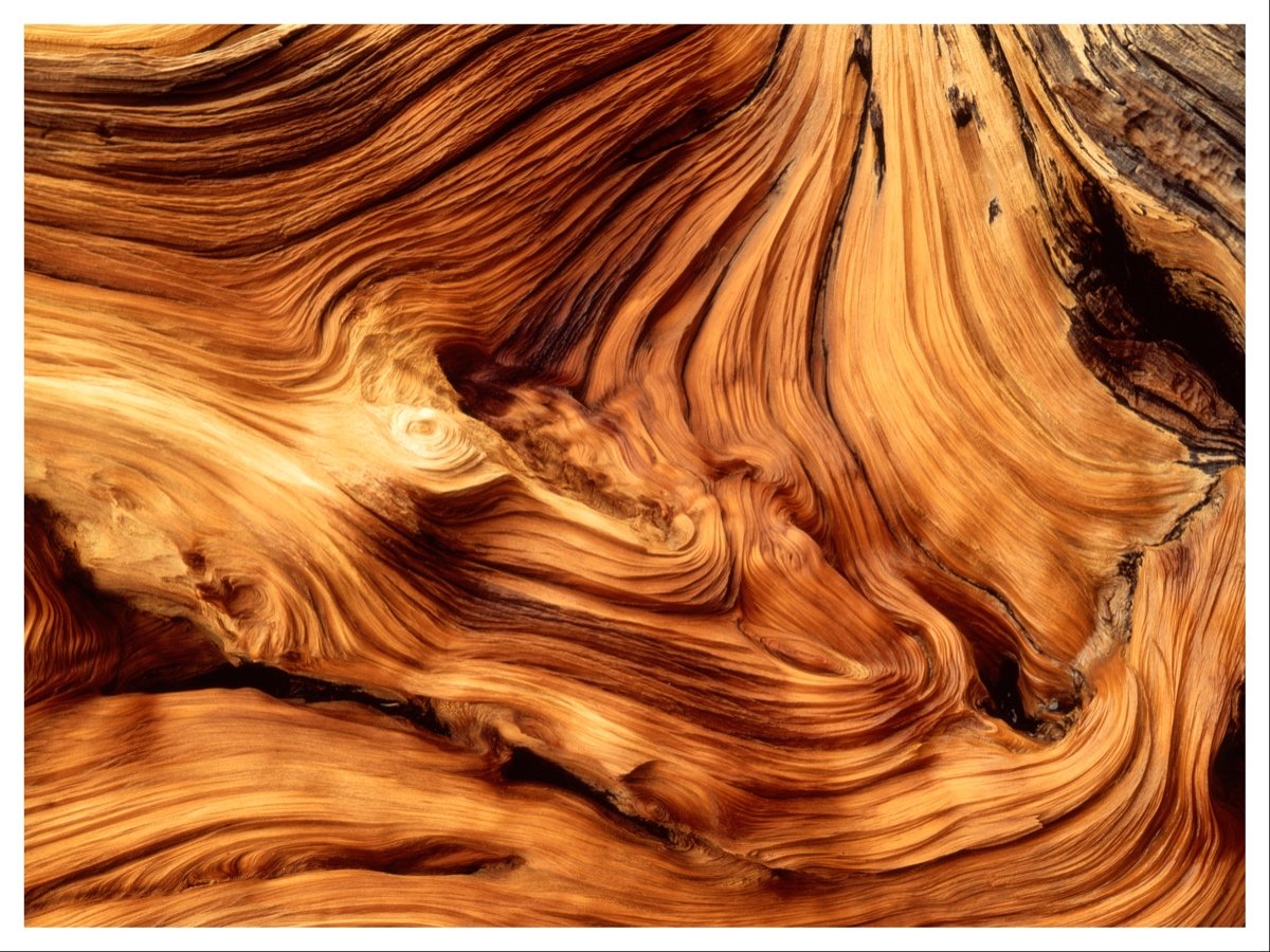 profumi legnosi migliori donna uomo oud sandalo cedro ebano palo santo cover 02