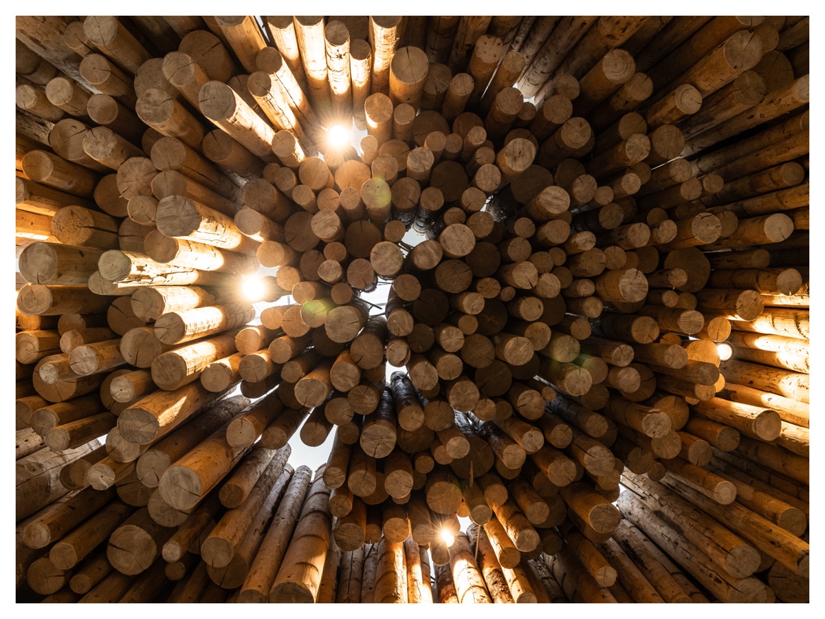 profumi legnosi migliori donna uomo oud sandalo cedro ebano palo santo cover 03