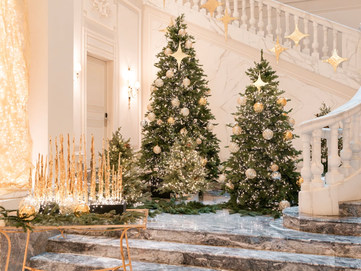 Palazzo Parigi Natale