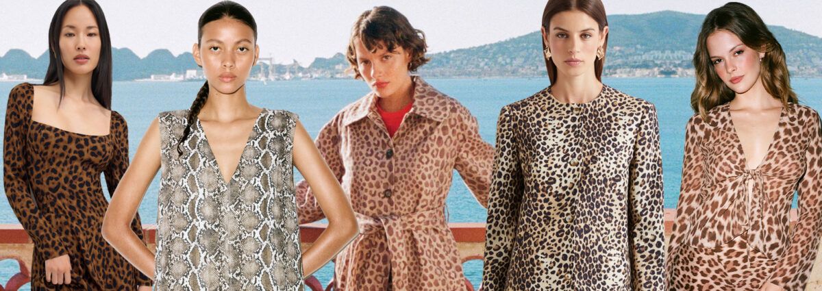 00_DESKTOP_animalier