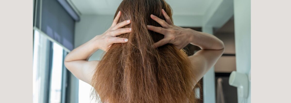 cover - 2026-01-20T151947.326