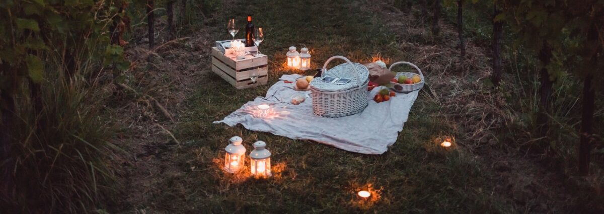pic nic hero