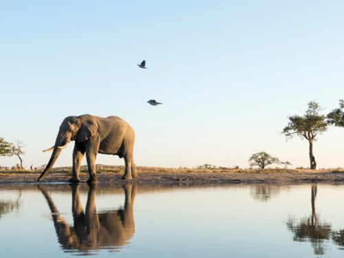 Botwana GettyImages-534898061