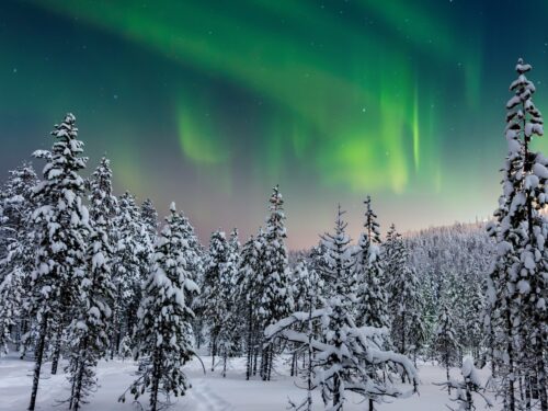 GettyImages-1179501660