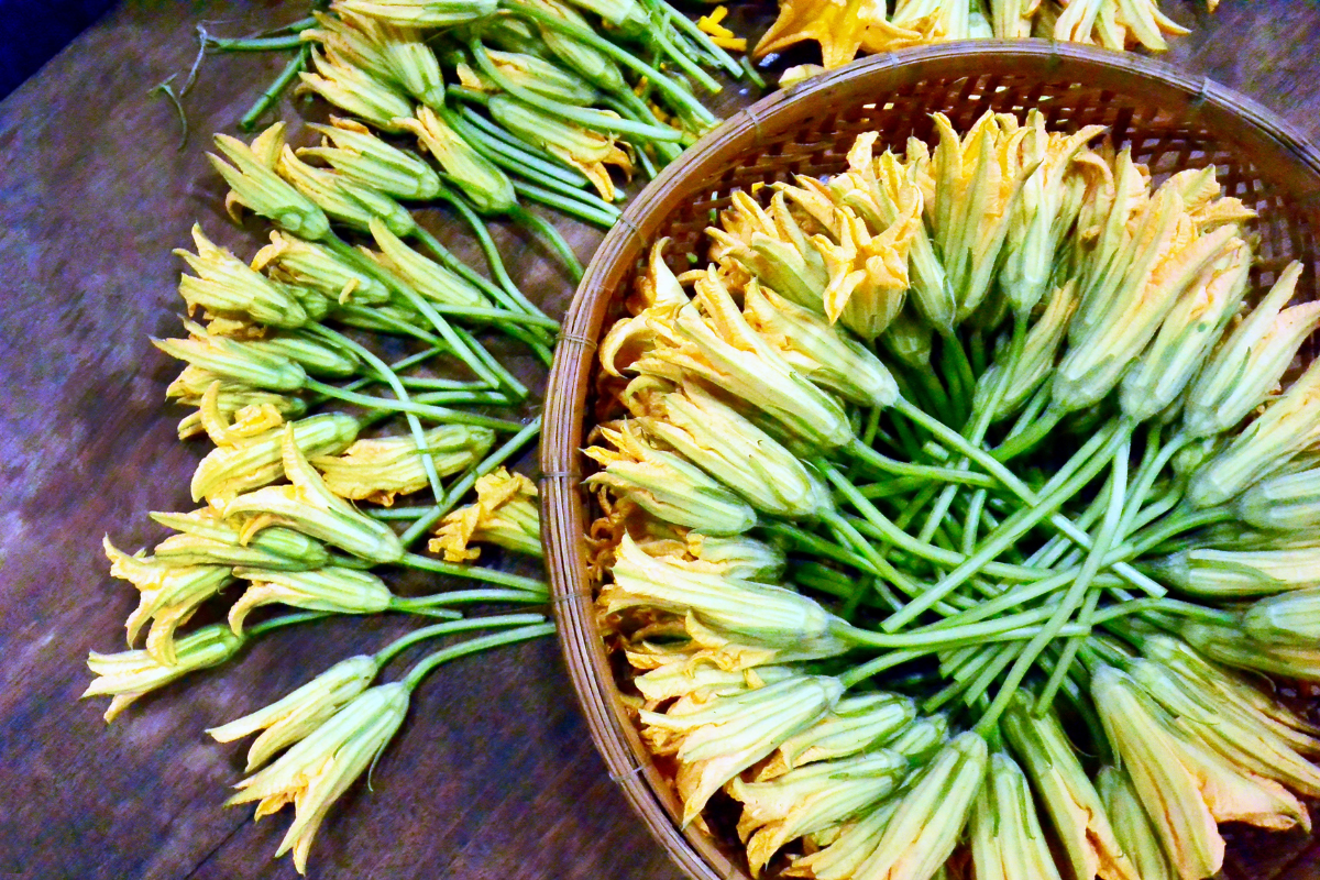 fiori di zucca come conservarli