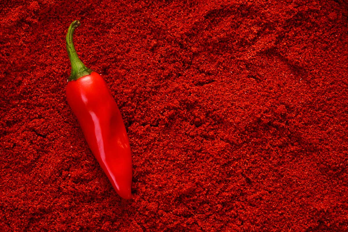 peperoncino-1