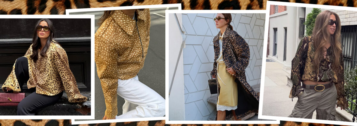 00_DESKTOP_animalier