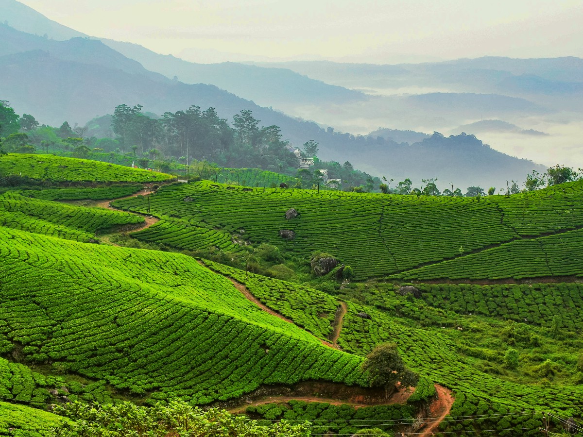 Darjeeling