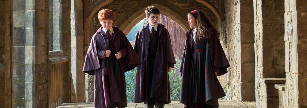 harry potter serie hero