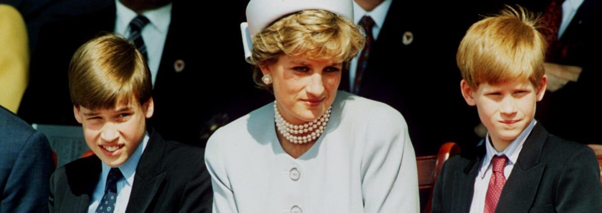 harry william diana hero