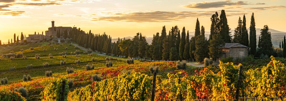 foliage toscana hero